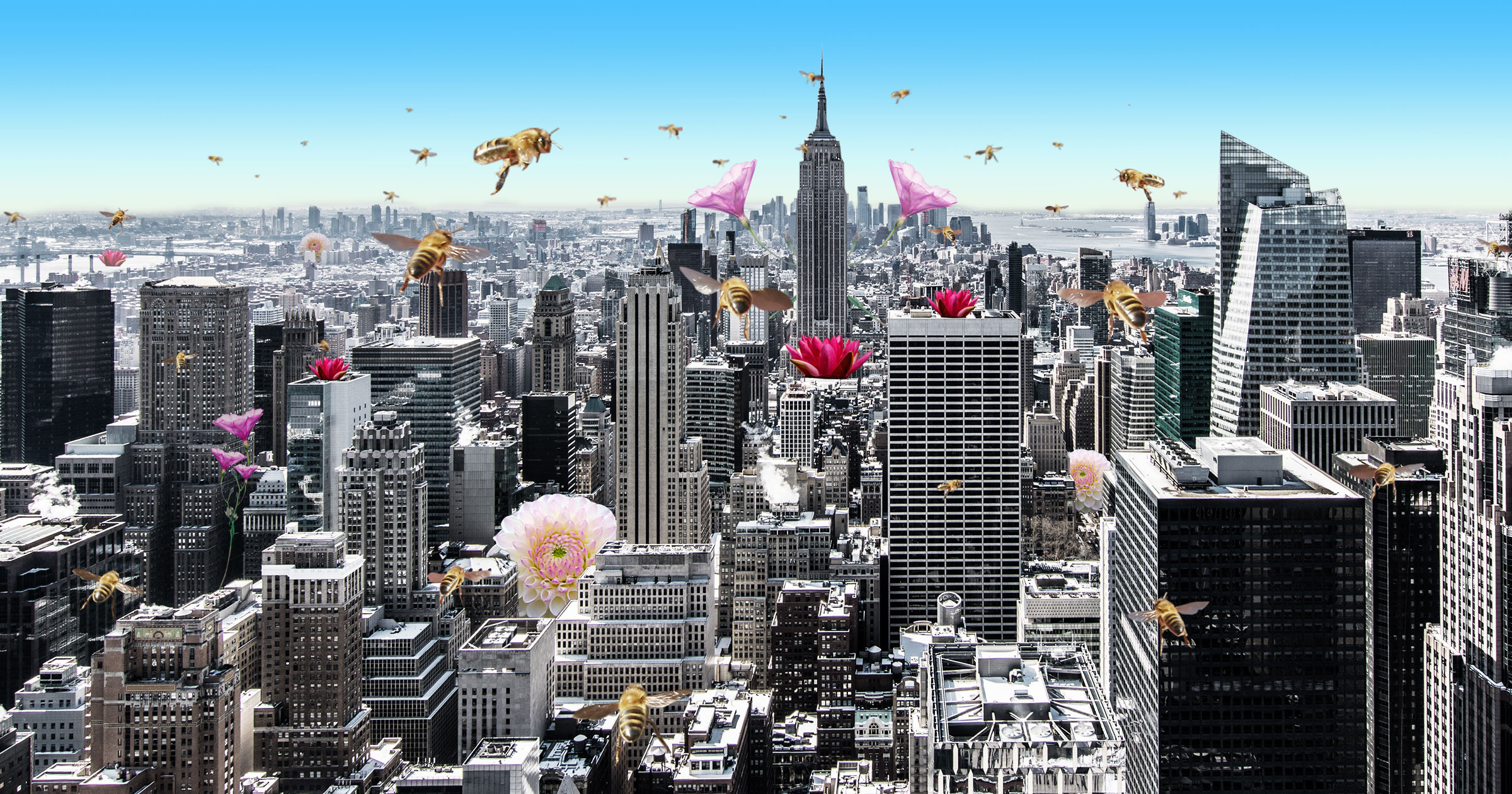 urban beekeeping ajpu